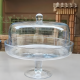 Acrylic Serving Platter